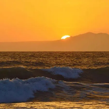 Sweet Horses Hh1 Hotel