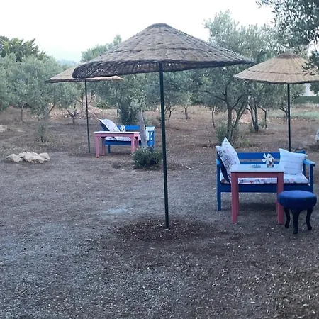 Sweet Horses Hh1 Didim