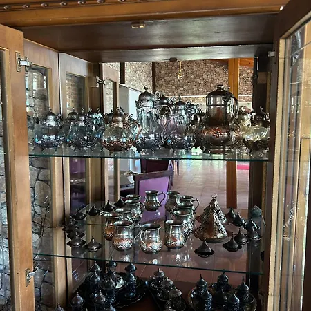 Sweet Horses Hh1 * Didim